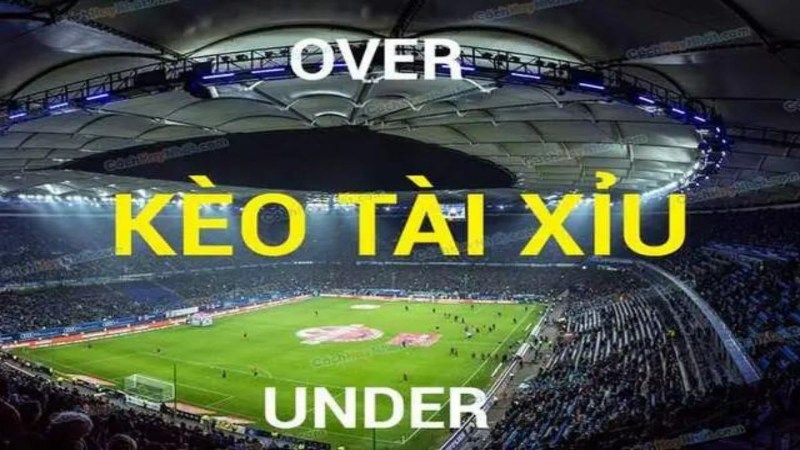 Một số thông tin về kèo tài xỉu dafabet